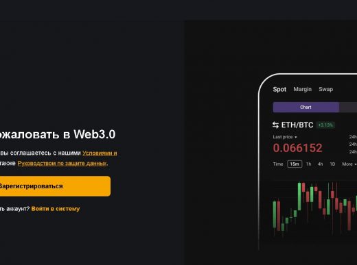 api‑connection.pro