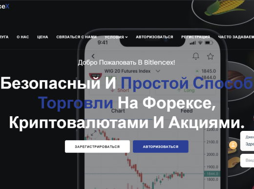 BitlenceX