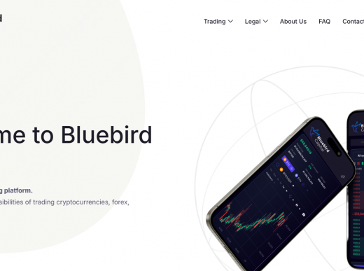 Bluebird Capital