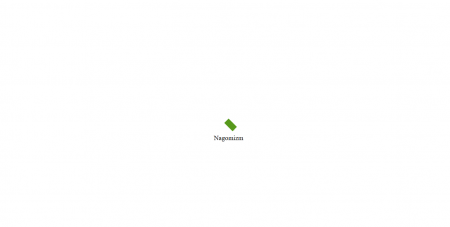 Nagomizm